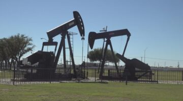 Oil