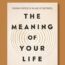 The Meaning of Your Life PIC 2
